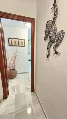 a lizard on the wall of a room at Infanta Isabel petfriendly by Sanlúcar Housing in Sanlúcar de Barrameda
