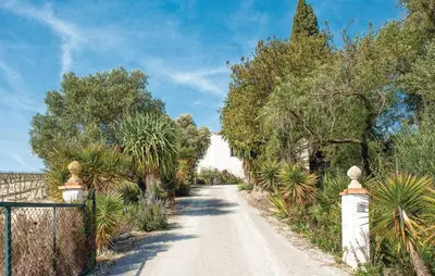 a dirt road with trees and a fence at Viña Santa Petronila Torre in Jerez de la Frontera