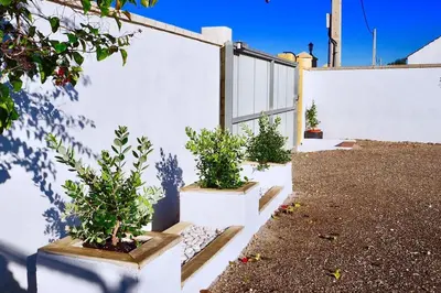 a white fence with three potted plants on it at Alojamiento Mise in Conil de la Frontera