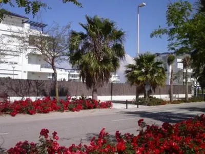 a street with red flowers and palm trees and buildings at Vacaciones de lujo GOLF-PLAYA. Costa Ballena-Cádiz in Rota
