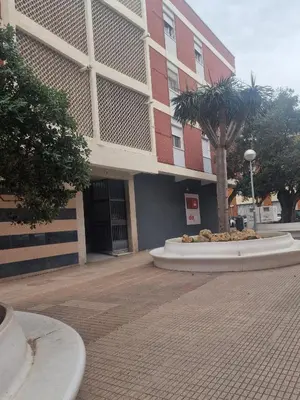a large building with a tree in front of it at ENTRE SAL Y ARENA in Cádiz