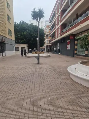 a city street with a palm tree and buildings at ENTRE SAL Y ARENA in Cádiz