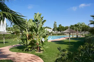 a resort with a swimming pool and a palm tree at Acogedora vivienda Costa Ballena in Chipiona