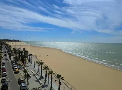 a view of a beach with palm trees and the ocean at Piso céntrico y tranquilo con garaje incluido in Sanlúcar de Barrameda