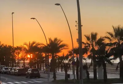 a street with cars parked on a street with palm trees at Piso céntrico y tranquilo con garaje incluido in Sanlúcar de Barrameda