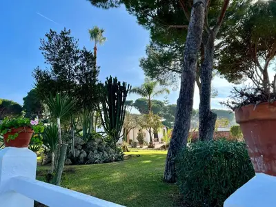 a yard with palm trees and a white fence at Los Porches in Chiclana de la Frontera