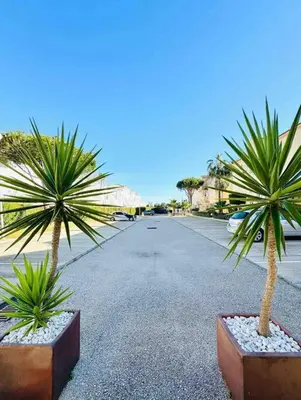 two palm trees sitting on the side of a road at Adosado en Novo Atlantico Golf in Novo Sancti Petri