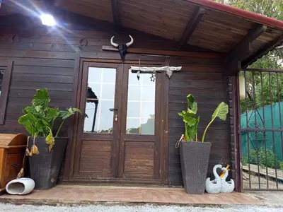 a wooden door with two potted plants on a porch at Centro ecuestre Girasol in Chiclana de la Frontera