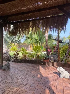 a patio with a straw roof and some plants at House near Conil with a Tropical Garden and Pool in Conil de la Frontera