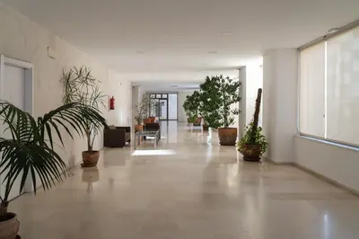 an empty hallway with potted plants in a building at Apartoyou - Estudio del Sol in El Puerto de Santa María