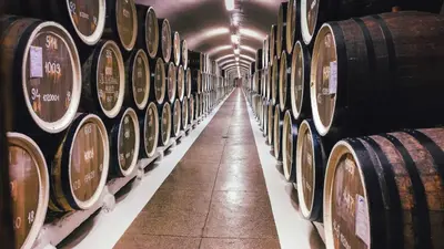a row of wine barrels in a wine cellar at Tandem Solera in Jerez de la Frontera