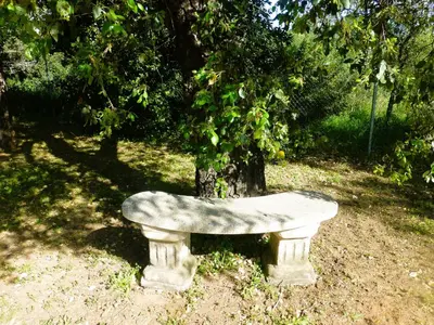 a stone bench sitting in front of a tree at Casa Isabela in Chiclana de la Frontera