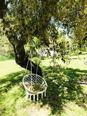 a swing hanging from a tree in a field at Casa Isabela in Chiclana de la Frontera