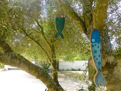 a tree with a surfboard hanging from a tree at Casa Isabela in Chiclana de la Frontera