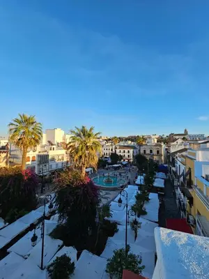 a view of a city with palm trees and buildings at Apartamento Centro Cabildo in Sanlúcar de Barrameda