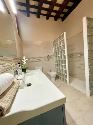 a bathroom with a white sink and a toilet at GINVA - Casa palacio La Templanza in El Puerto de Santa María