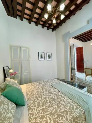 a bedroom with a large bed in a room at GINVA - Casa palacio La Templanza in El Puerto de Santa María