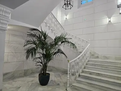 a staircase with a plant in a pot in a building at El Anfitrión - Palacio Argüeso in Sanlúcar de Barrameda