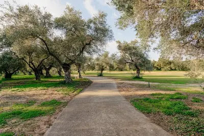 a path in a park with trees and grass at Country Home in Arcos de la Frontera