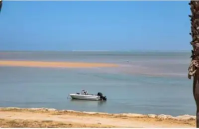 a boat sitting in the water on the beach at Colibri in Puerto Real