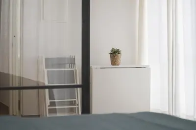 a plant sitting on top of a table next to a window at Estudio Palacios Norte in El Puerto de Santa María