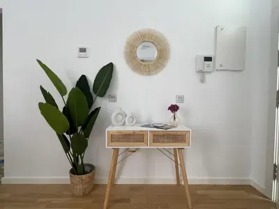 a table in a room with a plant and a mirror at Apartamento Centrico Jerez de la Frontera in Jerez de la Frontera