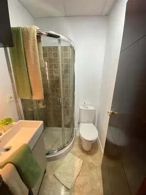 a bathroom with a shower and a toilet and a sink at La Marchena in Jerez de la Frontera