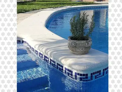 a plant in a pot sitting on the edge of a swimming pool at Albanta in Chipiona