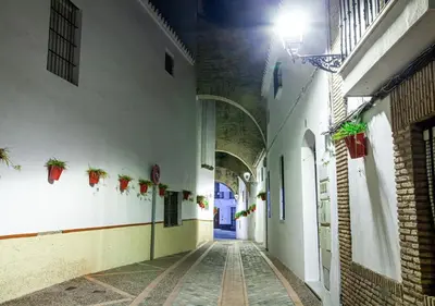 an alley with a blue door and plants on the walls at Encanto Urbano: Piso céntrico totalmente equipado in Lebrija