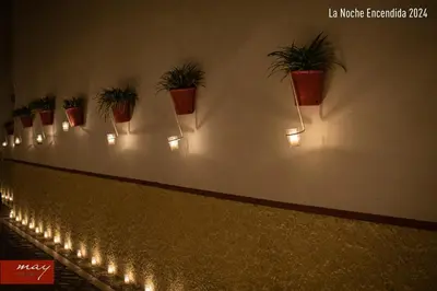 a row of potted plants on a wall with lights at Encanto Urbano: Piso céntrico totalmente equipado in Lebrija
