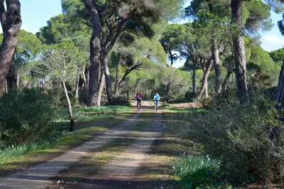 two people walking down a dirt road with trees at Sanlucarsun Apartamento frente al mar in Sanlúcar de Barrameda