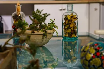 a table with a plant in a bowl and two bottles at Apartamento con inmejorables vistas de la Barrosa in Chiclana de la Frontera