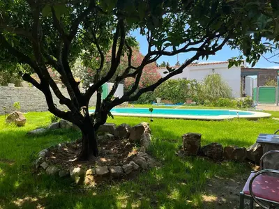 a tree in the grass next to a swimming pool at Casa rural con piscina en Conil de la Frontera - Casa Oeste in Cádiz