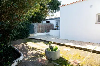 a backyard with a potted plant in a pot at Casa rural con piscina en Conil de la Frontera - Casa Oeste in Cádiz