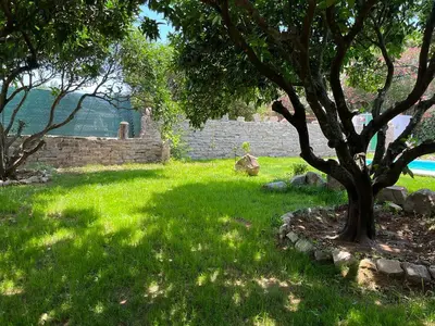 a green yard with a tree and a stone wall at Casa rural con piscina en Conil de la Frontera - Casa Oeste in Cádiz