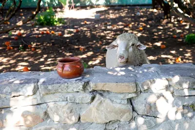 a statue of a sheep on a stone wall at Casa rural con piscina en Conil de la Frontera - Casa Oeste in Cádiz