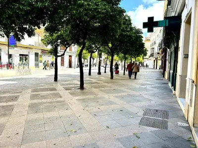 a street with trees and people walking down the street at Alojanómadas Jerez Centro in Jerez de la Frontera