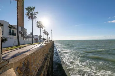 a retaining wall next to the ocean with palm trees at El Paseo del Faro in Chipiona