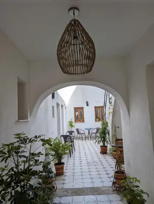 a hallway with potted plants and a chandelier at Mina32 by 7Escalones in Rota