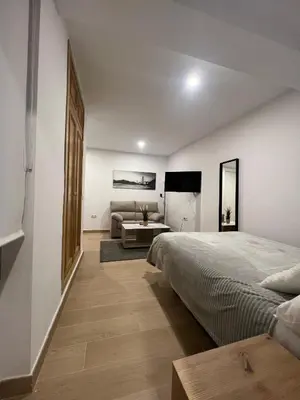 a bedroom with a large bed and a couch at Apartamento Porvenir in Jerez de la Frontera