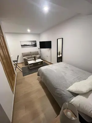 a bedroom with a large bed and a couch at Apartamento Porvenir in Jerez de la Frontera