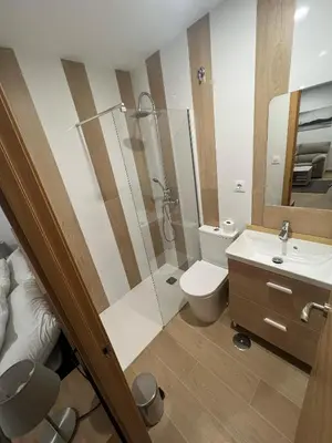 a bathroom with a shower and a toilet and a sink at Apartamento Porvenir in Jerez de la Frontera