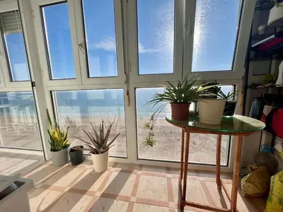 a room with windows with potted plants on the floor at ARENA y Mar Sunny Home by Cadiz4Rentals in Cádiz