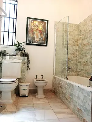 a bathroom with a toilet and a tub and a sink at Casa Palacio Madre de la Eucaristía in El Puerto de Santa María