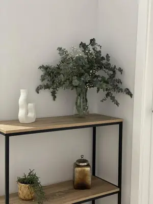 a vase with a plant on a shelf at Apartamentos Corredera 3 in Arcos de la Frontera