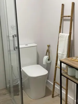 a bathroom with a toilet and a glass shower at Apartamentos Corredera 3 in Arcos de la Frontera