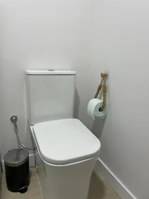 a white toilet in a bathroom with a roll of toilet paper at Apartamentos Corredera 3 in Arcos de la Frontera