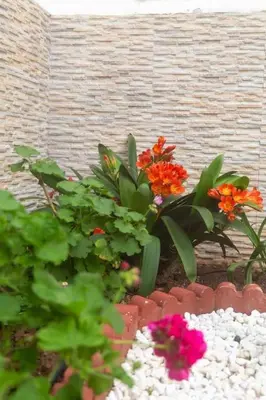 a bunch of flowers in a flower garden at Murillo by Gades Gestión in Cádiz