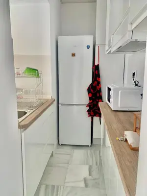 a kitchen with a white refrigerator and a microwave at Apartamento Gallo Azul in Jerez de la Frontera