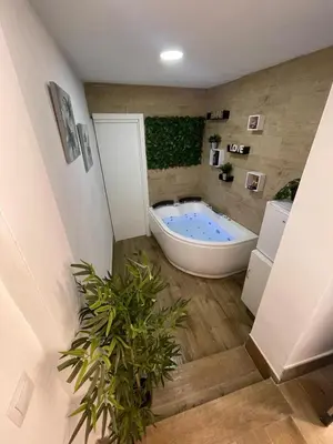 a bathroom with a tub and a potted plant at Estudio BF jacuzzi jerez in Jerez de la Frontera